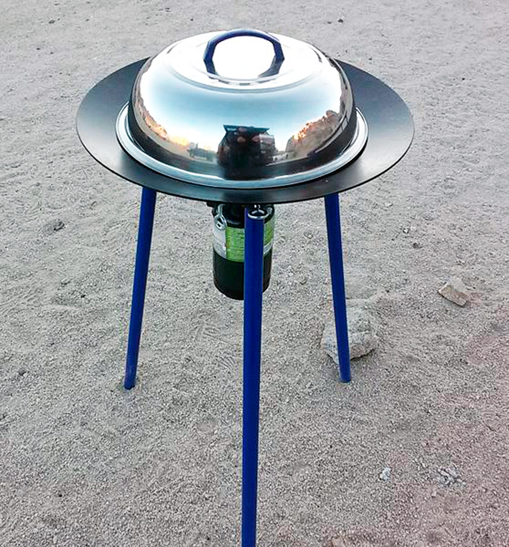 Stately oaks essay picture